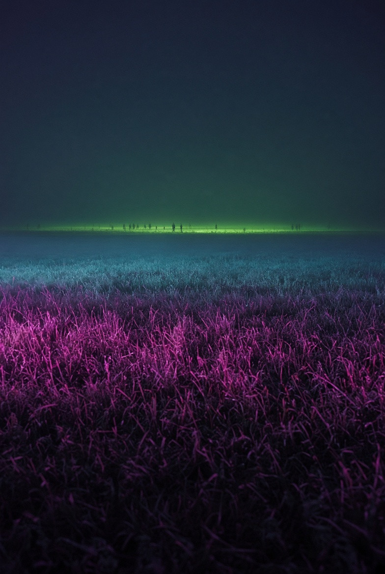 Magenta night grass edge